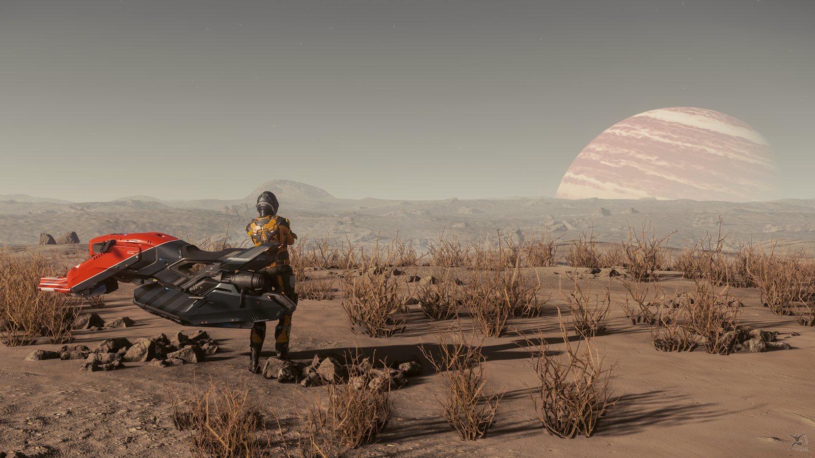 Reconnaissance